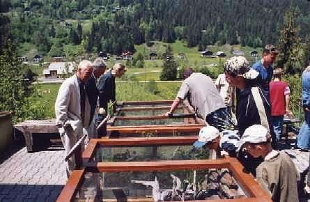 Teilansicht unserer  Außenanlage.