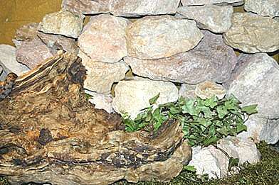 Legesteinmauer im Terrarium