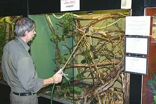 Viele Terrarien müssen täglich besprüht weren.